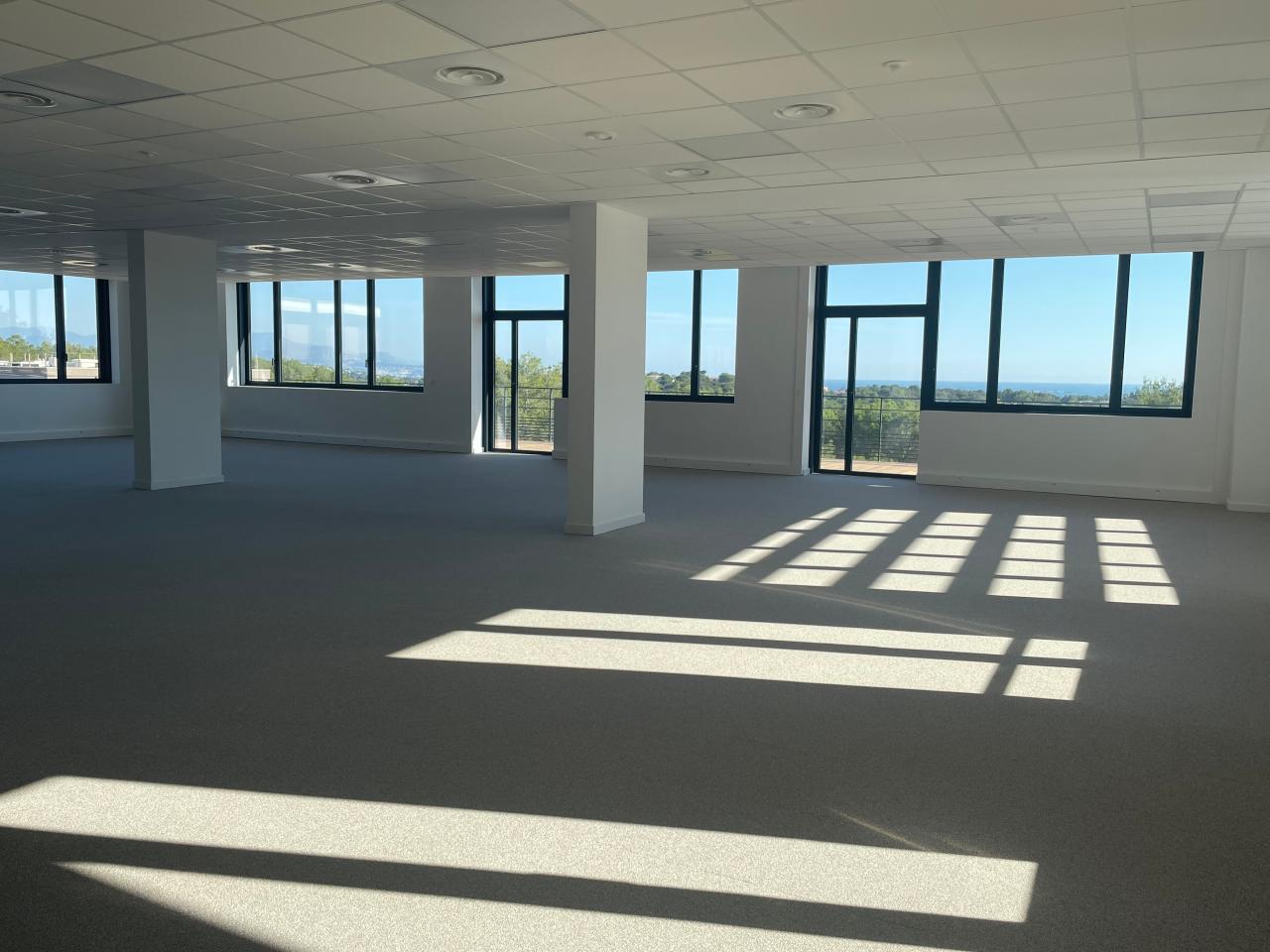 Bureau Sophia Antipolis 4624m² Location bureau Sophia Antipolis Alpes-Maritimes OLBUR2115409 5